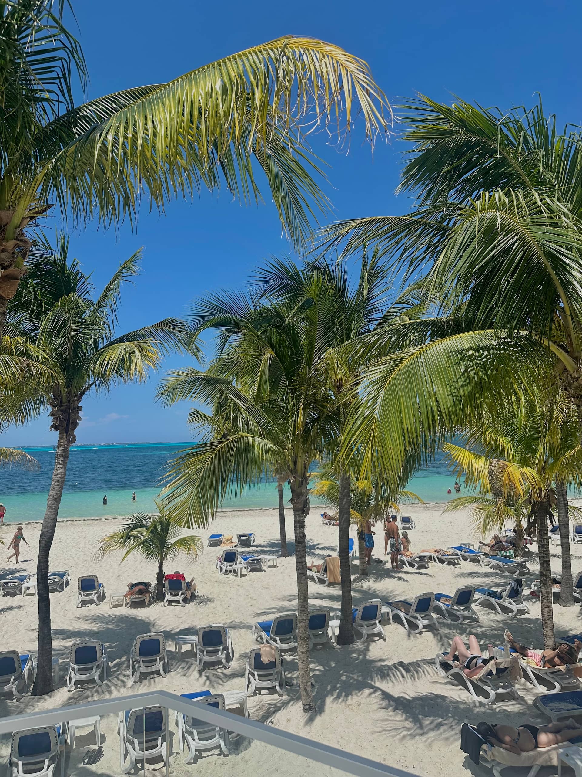 Portada de melissaruedacoll